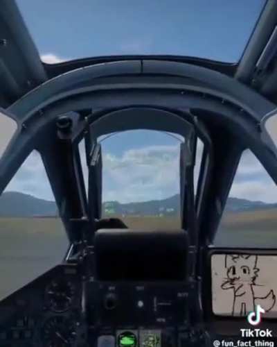 New instructor