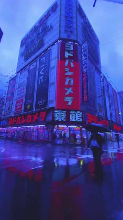 neon + rain