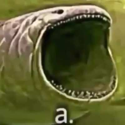 A.