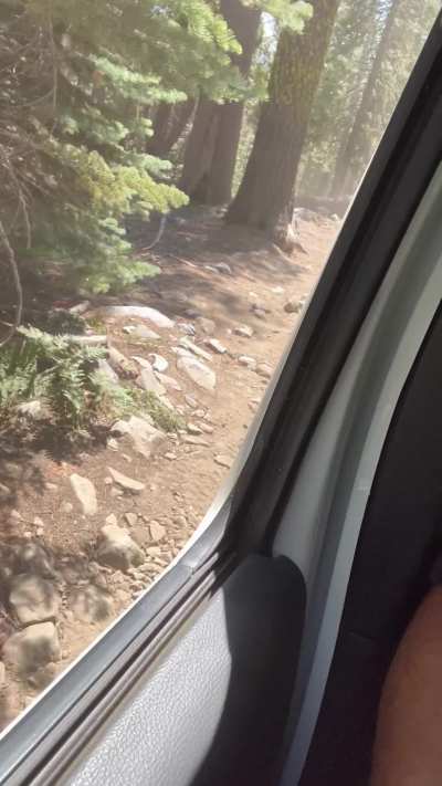 The Jeep bounce