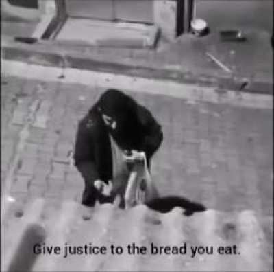 Drunk turkish guy arguing with a street dog about communism and narcissism (Better translation in the comments)