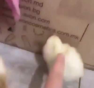 Ass man and ass grass man