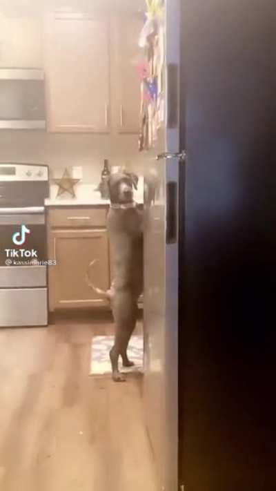 &ldquo;Oh damn she caught me, just walk away and act natural&rdquo;