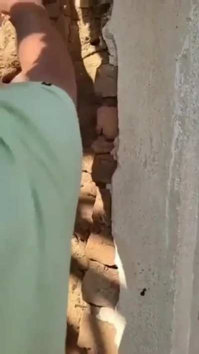 BONK