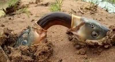 Sharing is caring