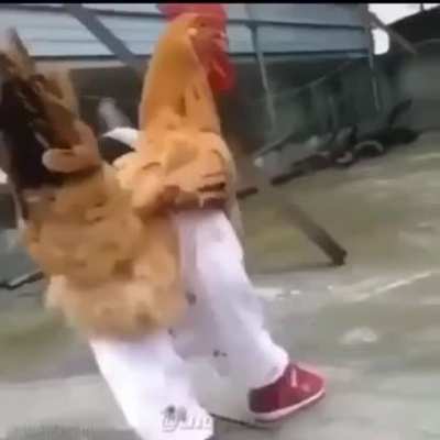 rate the fit