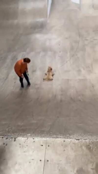 Furry Mascots in X-Games mode! &amp;lt;3