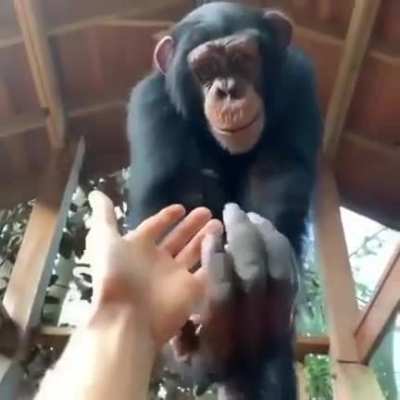 Footage of Connor playing around at a park as a kid