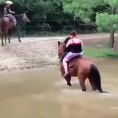 Poor horse