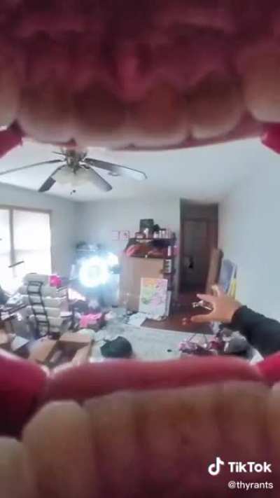 Thanks, I hate mouth cameras