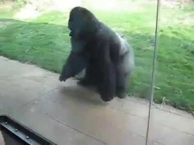 Spinning monkey