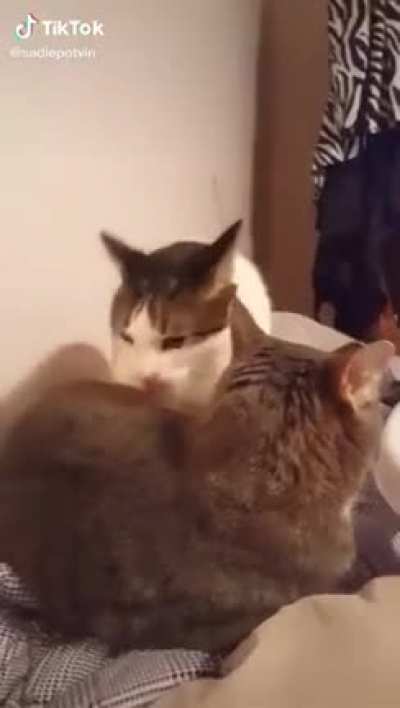YOU DIED