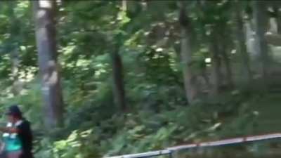Japanese van rally championship