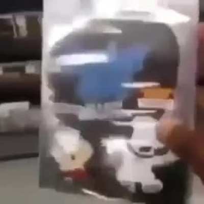 New family guy 