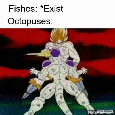 Like, why do they do that?