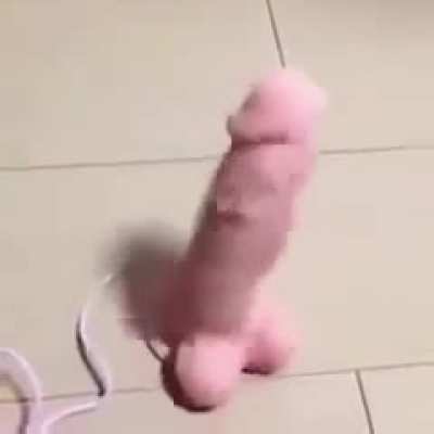 Pija truco
