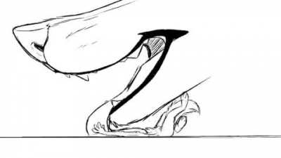 Furry_irl