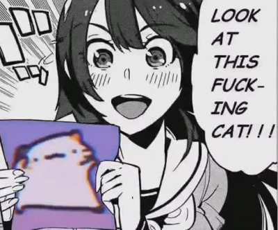 Rule