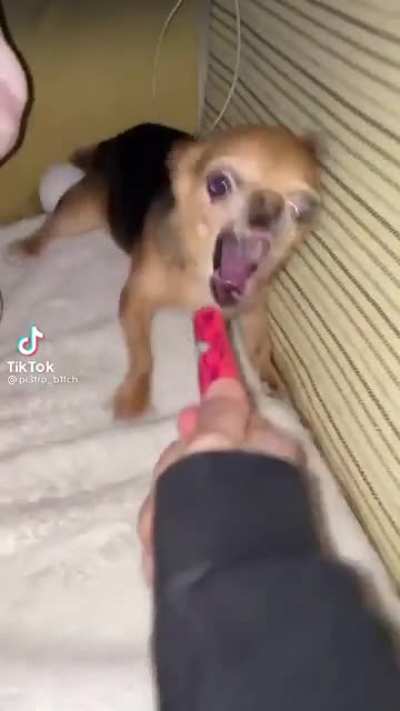 grr
