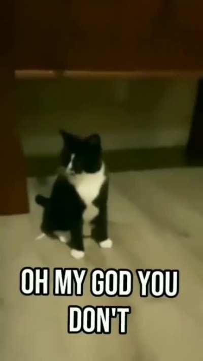 GigaCat