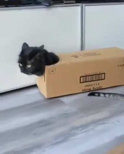 Kirara gameplay footage leaked