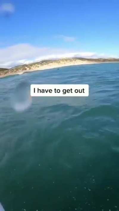 UH OH