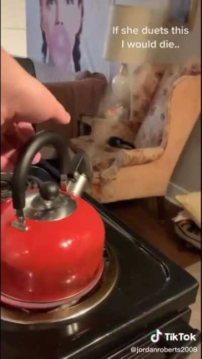 This year&rsquo;s hottest new tea kettle