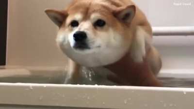 Micky ba&ntilde;o