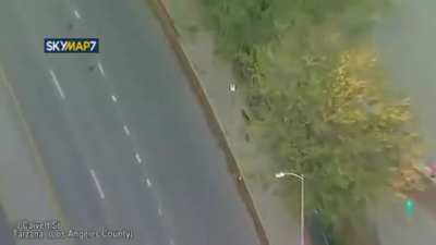 Drunk Los Angeles woman steals an RV and gets into a police chase, to the disappointment of her dogs