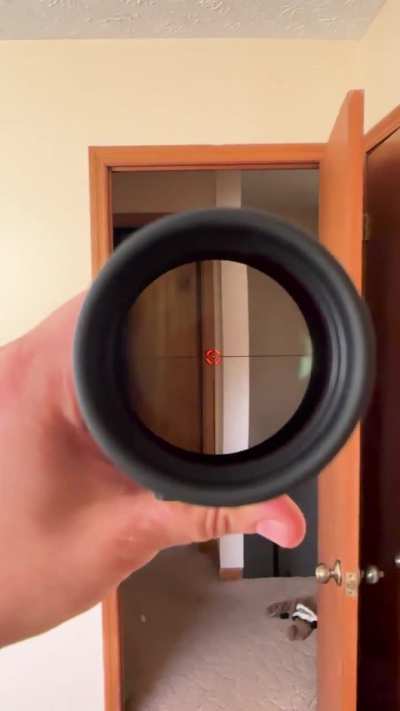 Bushnell R5 1-6x24