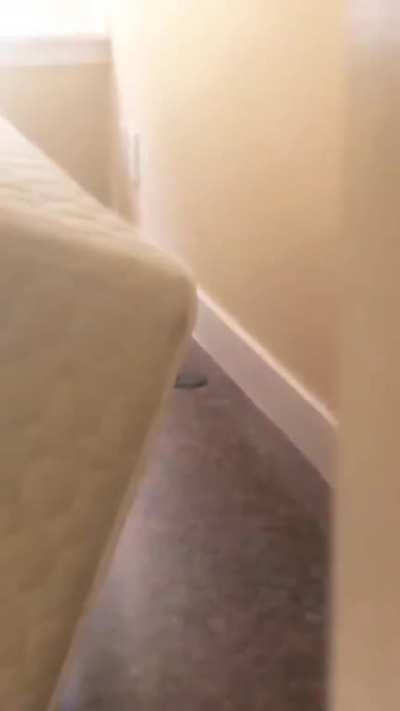 He's comin