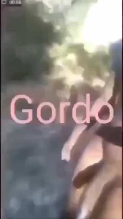 MADDD SLONG