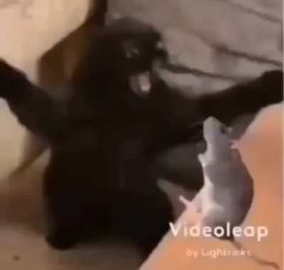 🤬
