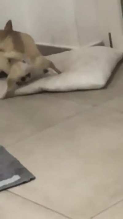 kafasını nie sikiyon aq