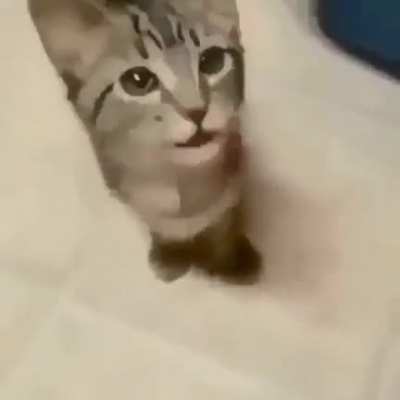 &ordf;