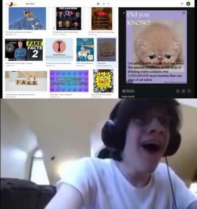 spreading lies on the internet speedrun!! WORLD RECORD!!