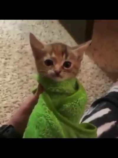 &ordf;