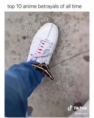 Mr. BUtterfly