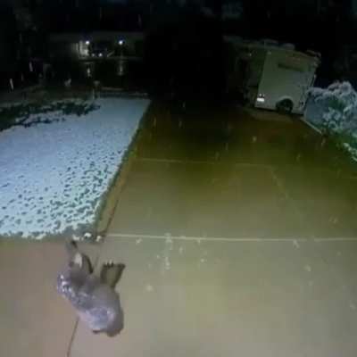 Touch Tha Snow