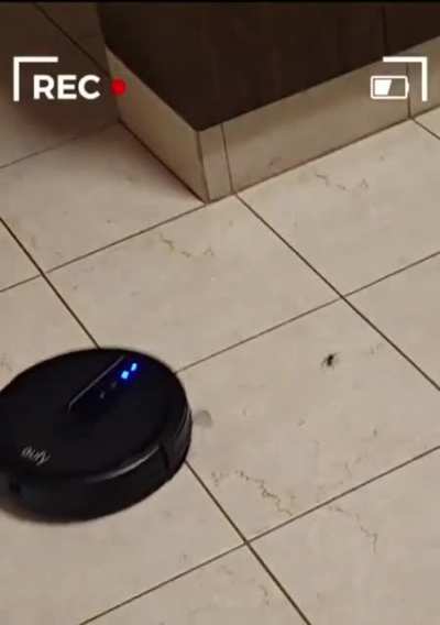 He on the move