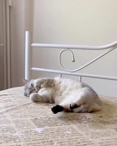 Waking up annnnd no