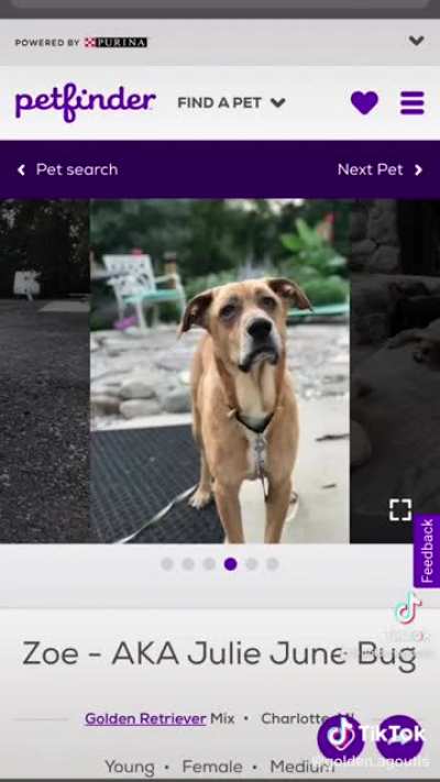 Don&rsquo;t worry they&rsquo;re not pits.