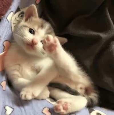 hi there