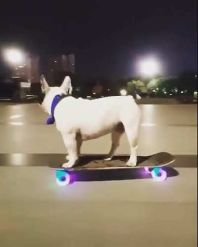 He was a skater boy
