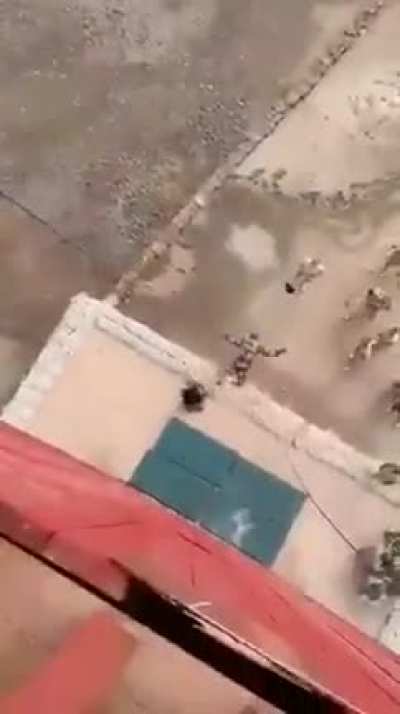 HMFT after almost killing myself for a super hero landing