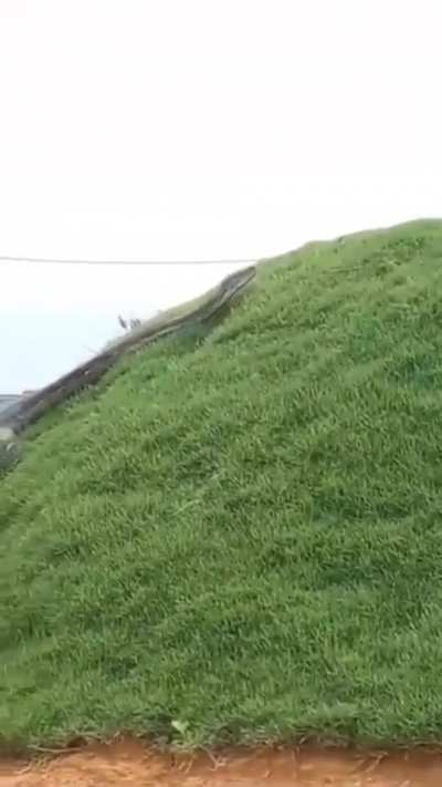 What are you doing in this situation?