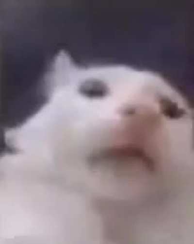 &zwj;