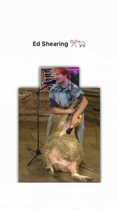 Ed Shearing