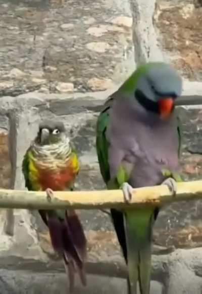Henrietta had been so touch-starved since divorcing Jason. Unfortunately, this made her willfully oblivious to her date&rsquo;s boundaries
