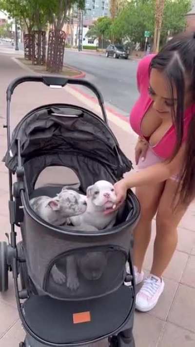 Funny Vid &amp;amp; AWESOME Body